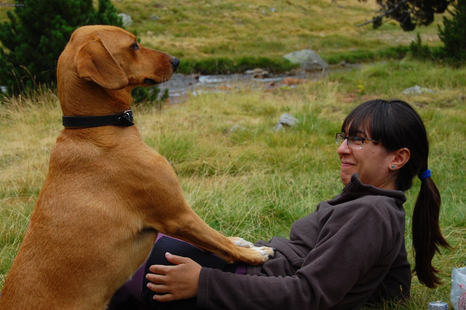 Germanor entre les meves companyes.