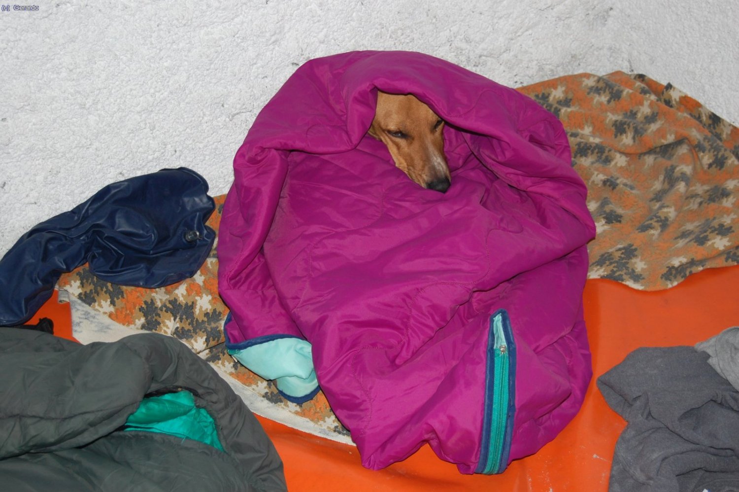 Los efectos de la g&eacute;lida madrugada en algunos participantes de la excursi&oacute;n.