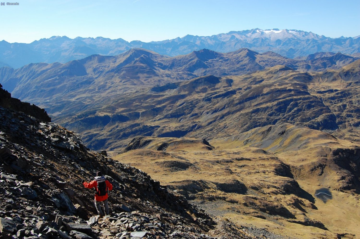 Esa textura del pasto omnipresente, qu&eacute; delicia.....