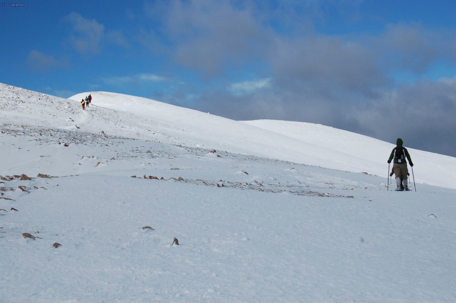 Al replans somitals.