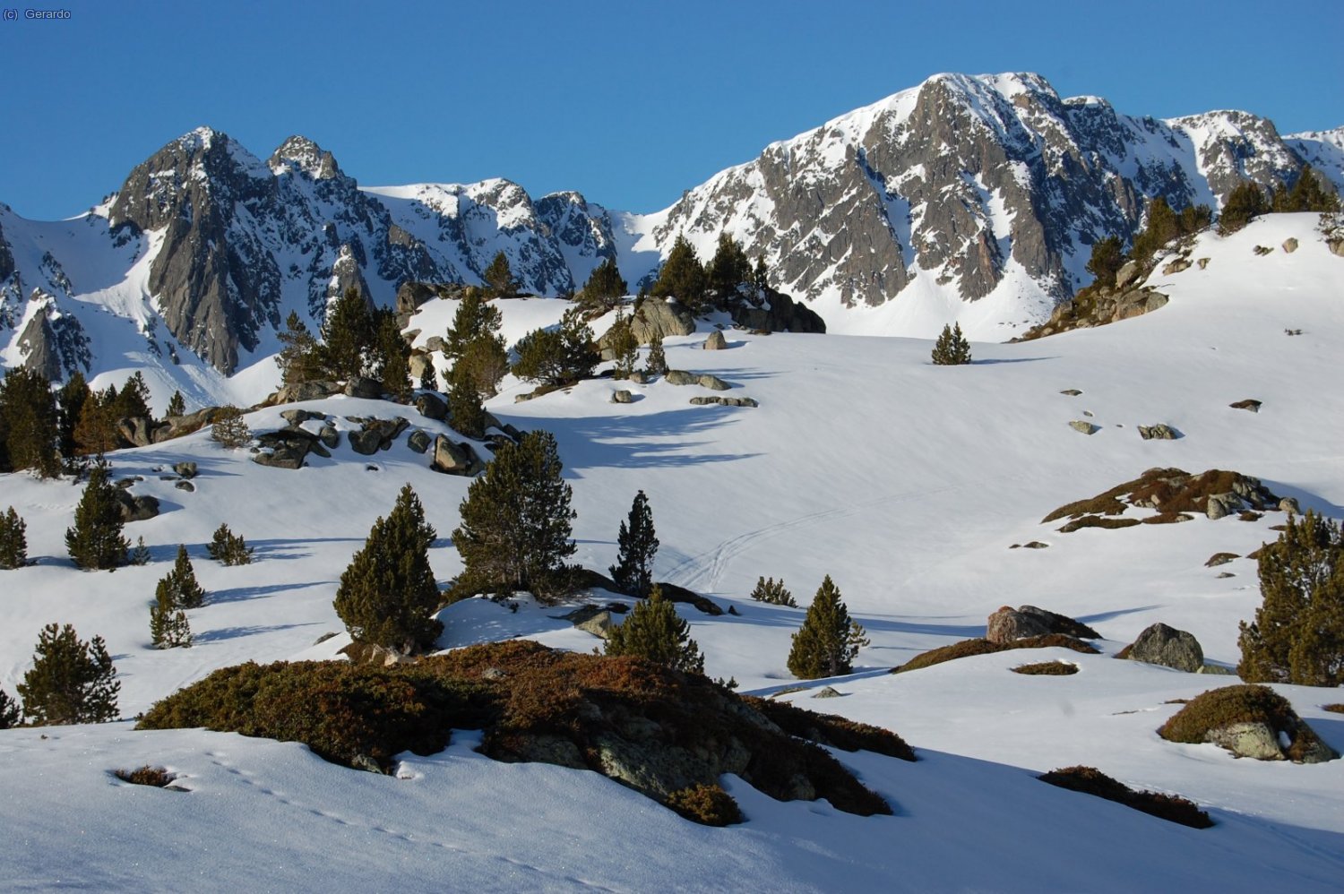 R&iacute;bols i Pessons.