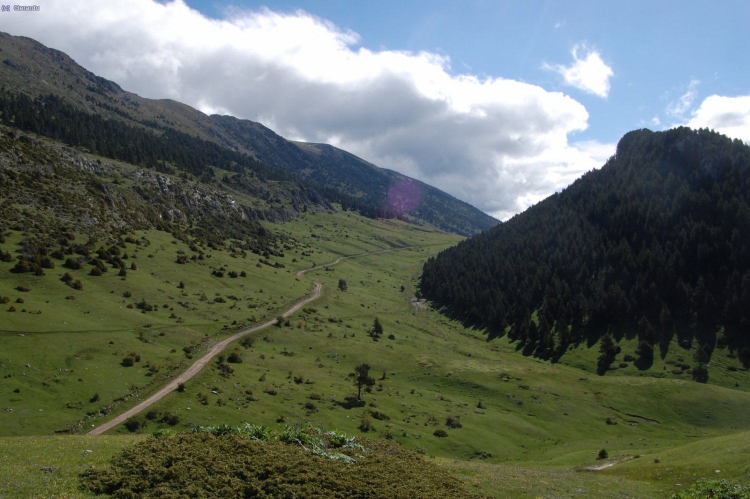 Rodalies del Collell.