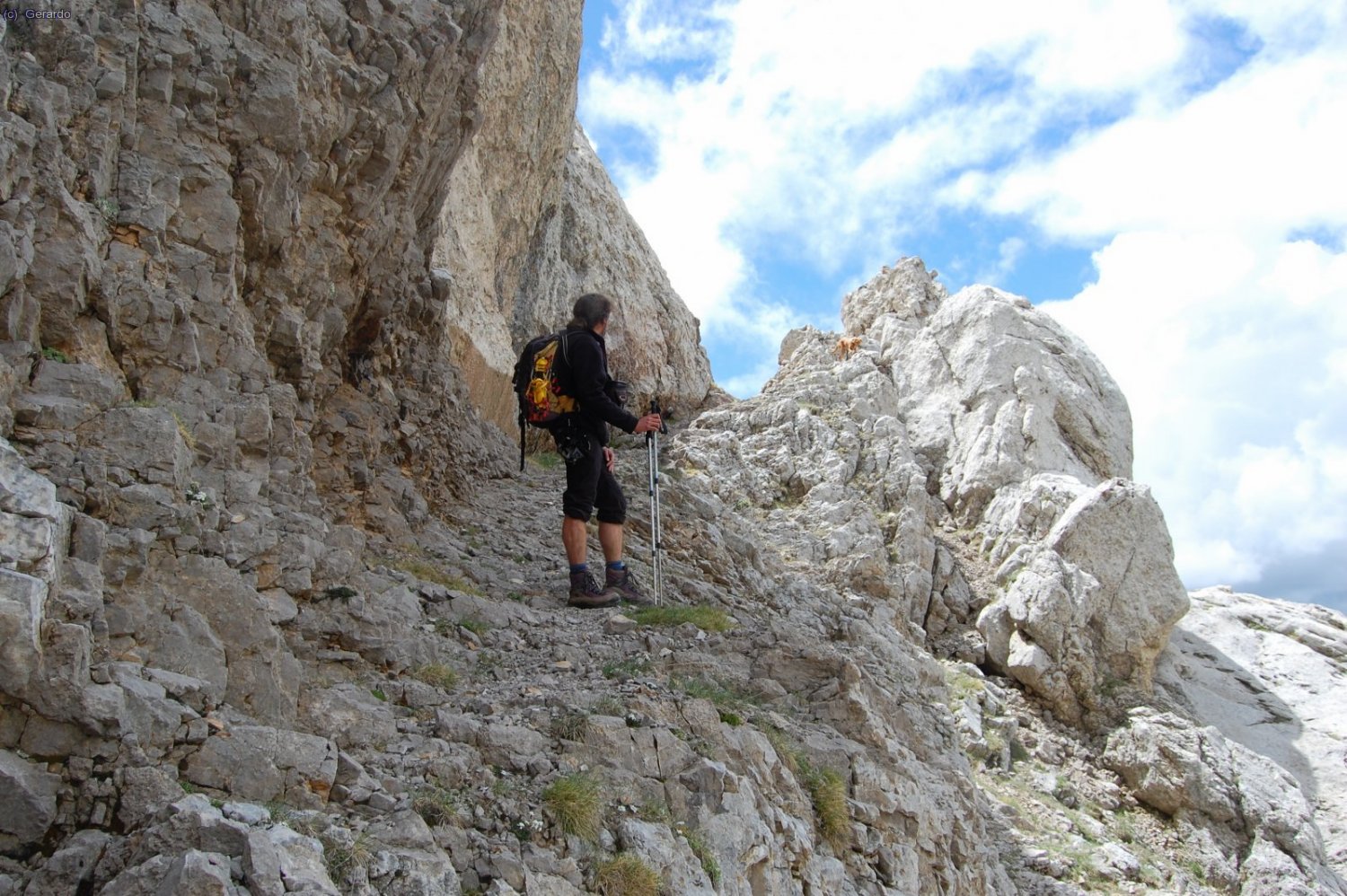 ...per&ograve; elemental.