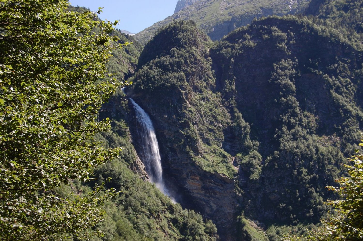 Agua y bosque, agua y bosque...