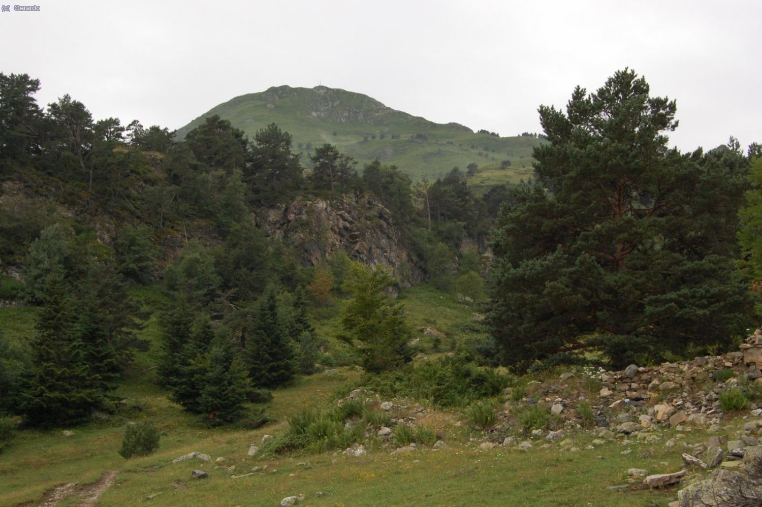El Montcorbison des de les proximitats de la bassa d