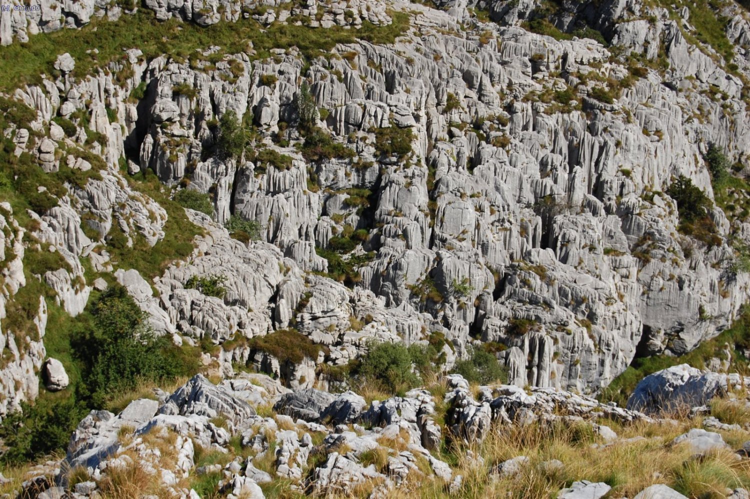 Todo es lapiaz... horizontal, inclinado, vertical...