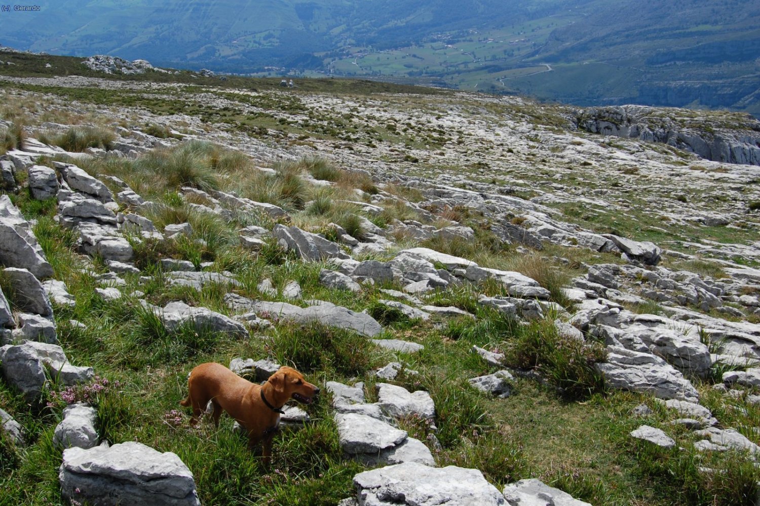 Vamos descendiendo. El lapiaz disminuye poco a poco su bravura.