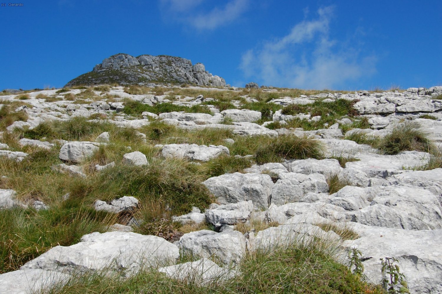 Esto es lo que va quedando arriba.