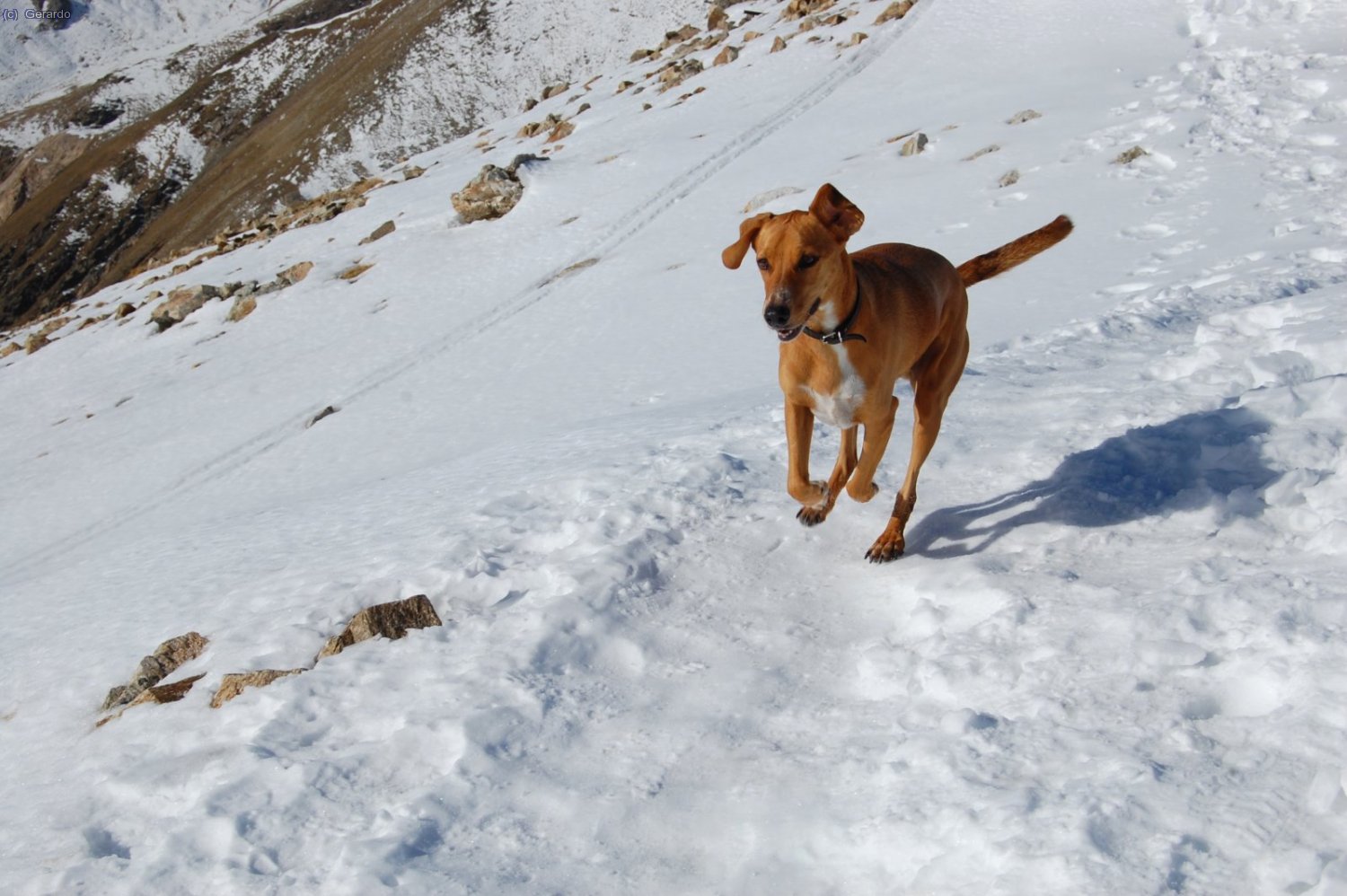 La Mel fent uns "largos" al cim del Bastiments.