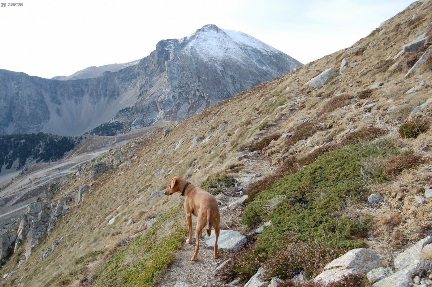 Pujant al Coll de la Geganta des de les pistes de Vallter.