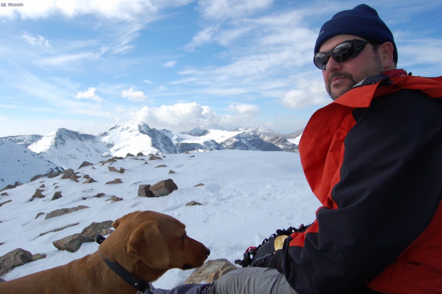 Els meus col&middot;legues.