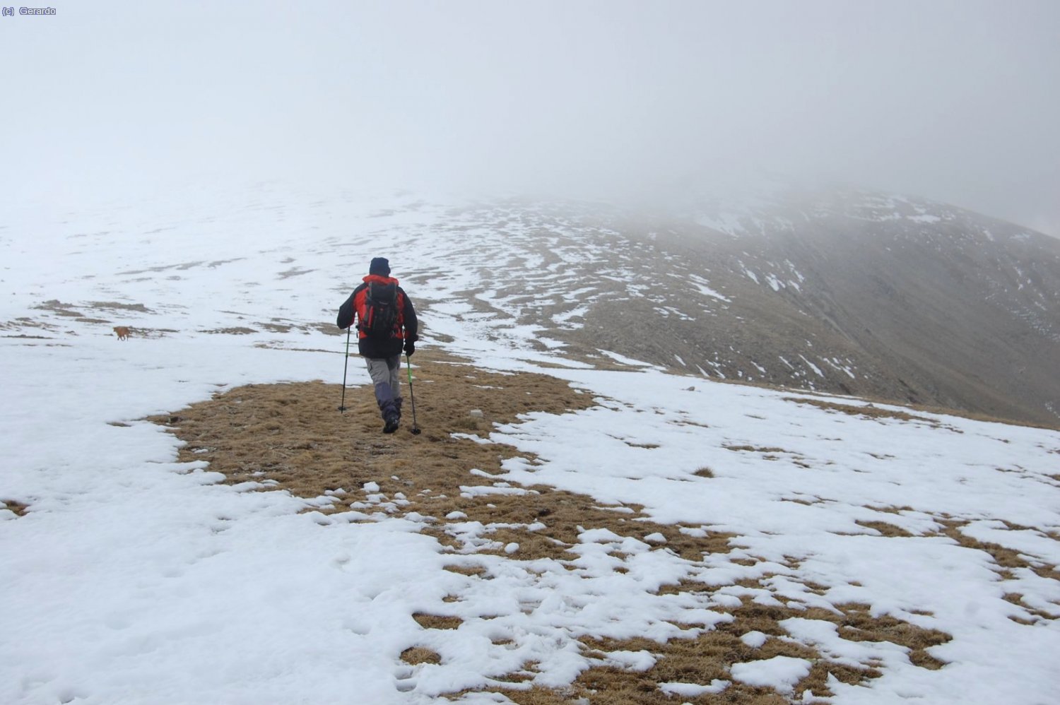 Darrer tram sota el Pic de la Dona, ja a les fosques.