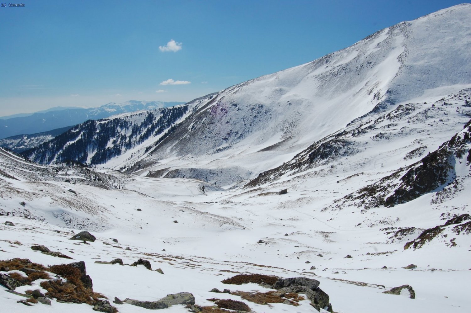 El cor del circ, amb el refu al centre.