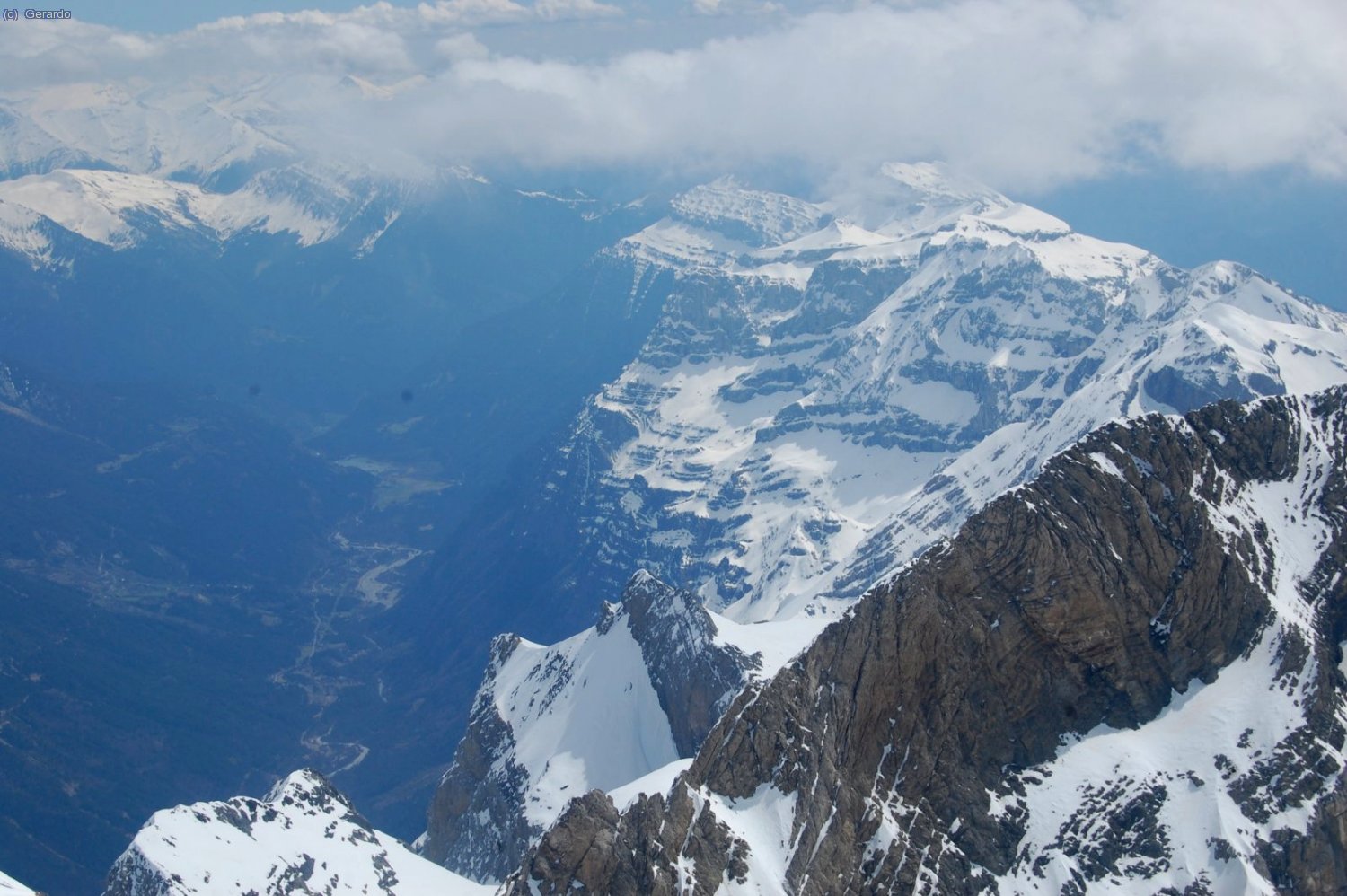 Detalle sobre Pineta.