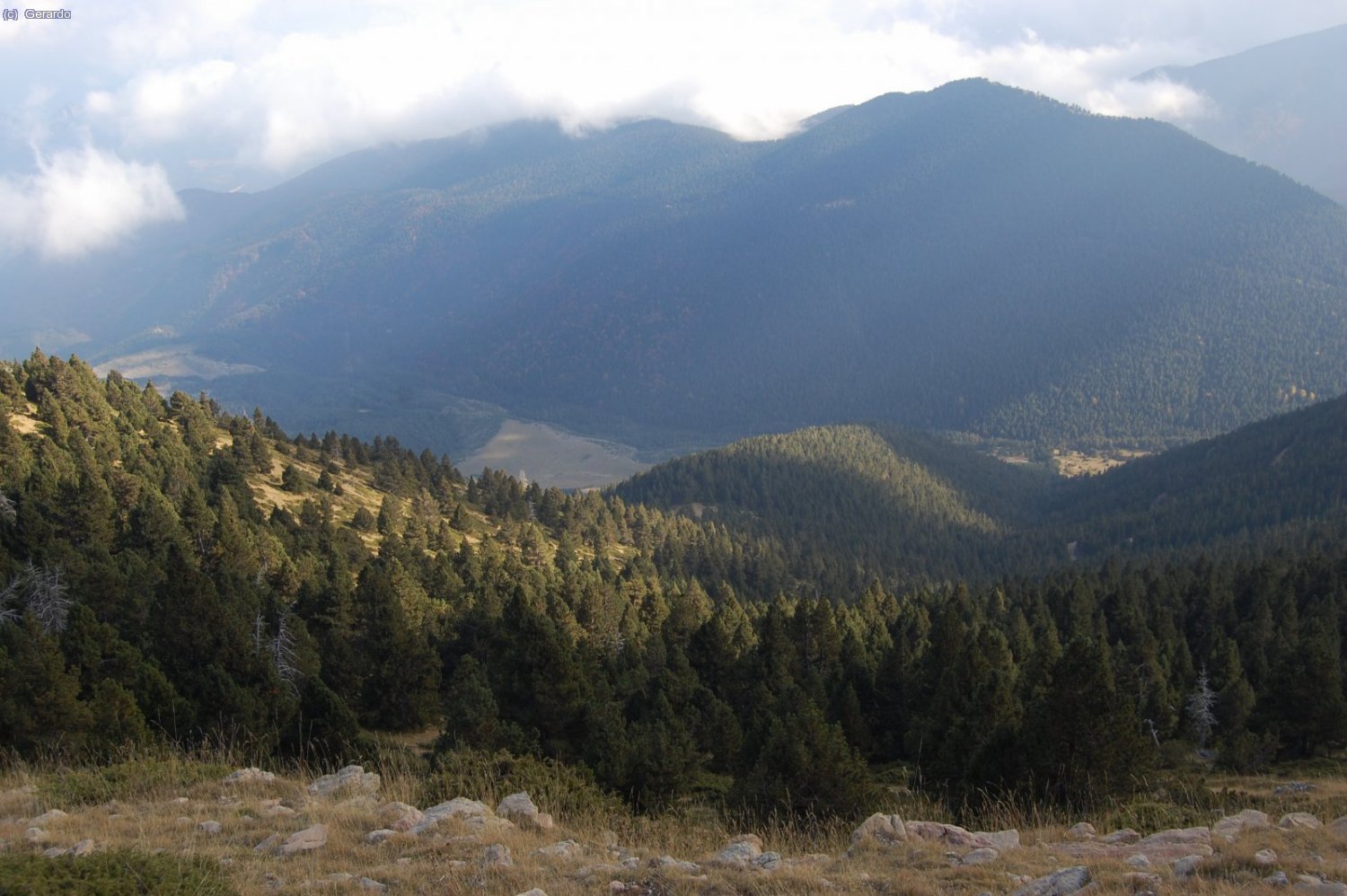 Un aspecte de la boscosa vessant sud de la serralada, per la qual anem baixant.