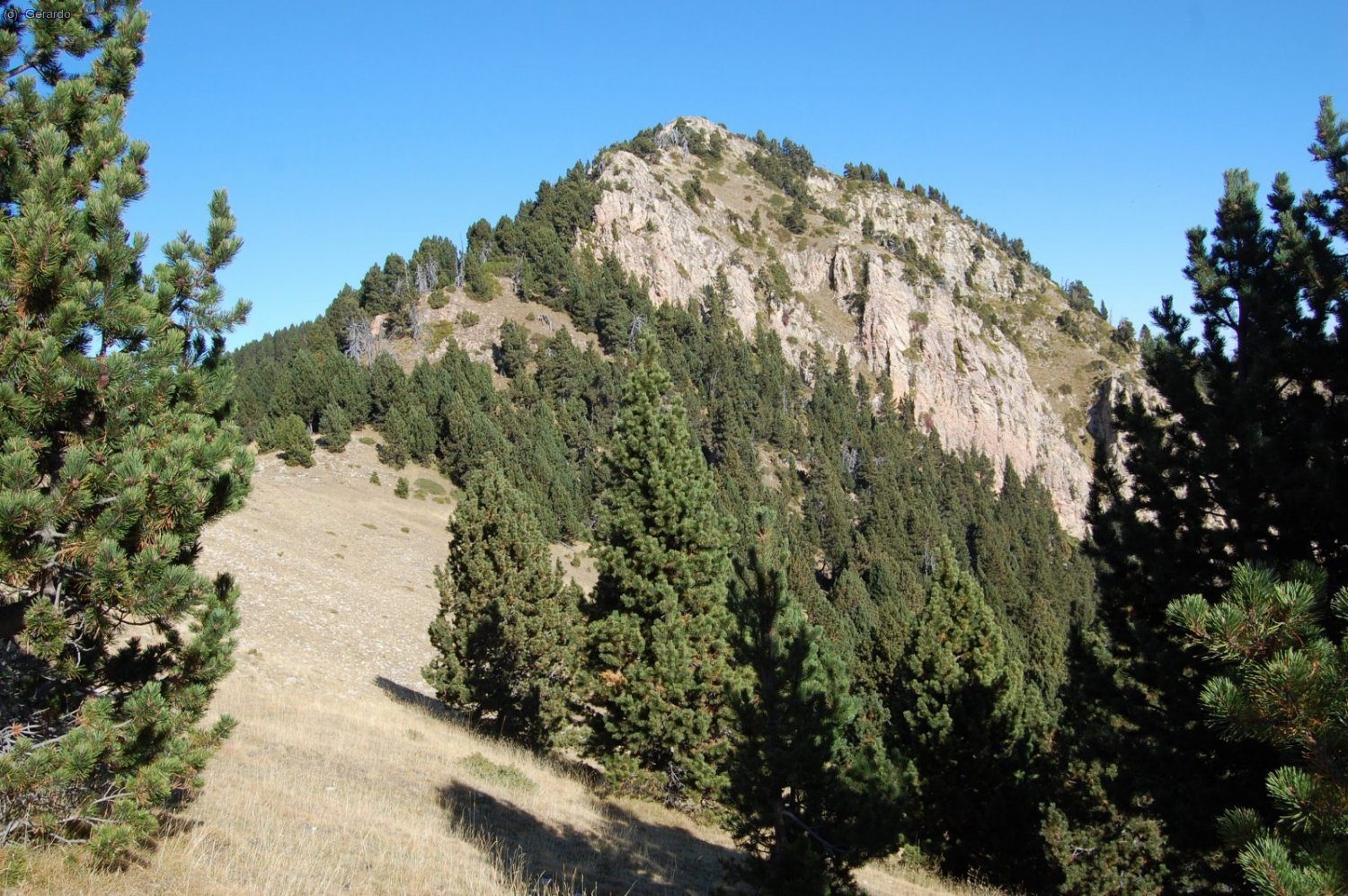 Ja a dalt de la serra, una imatge del molt proper Serrat Voltor.