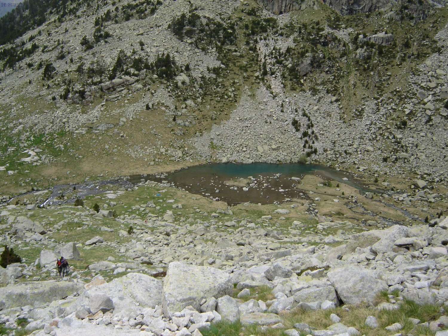 El ibonet de Coronas.