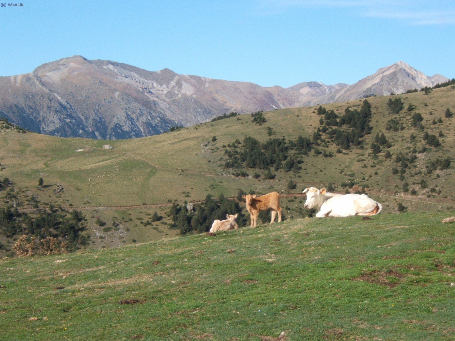 Cap a oest-nordoest, al fons, el sector d