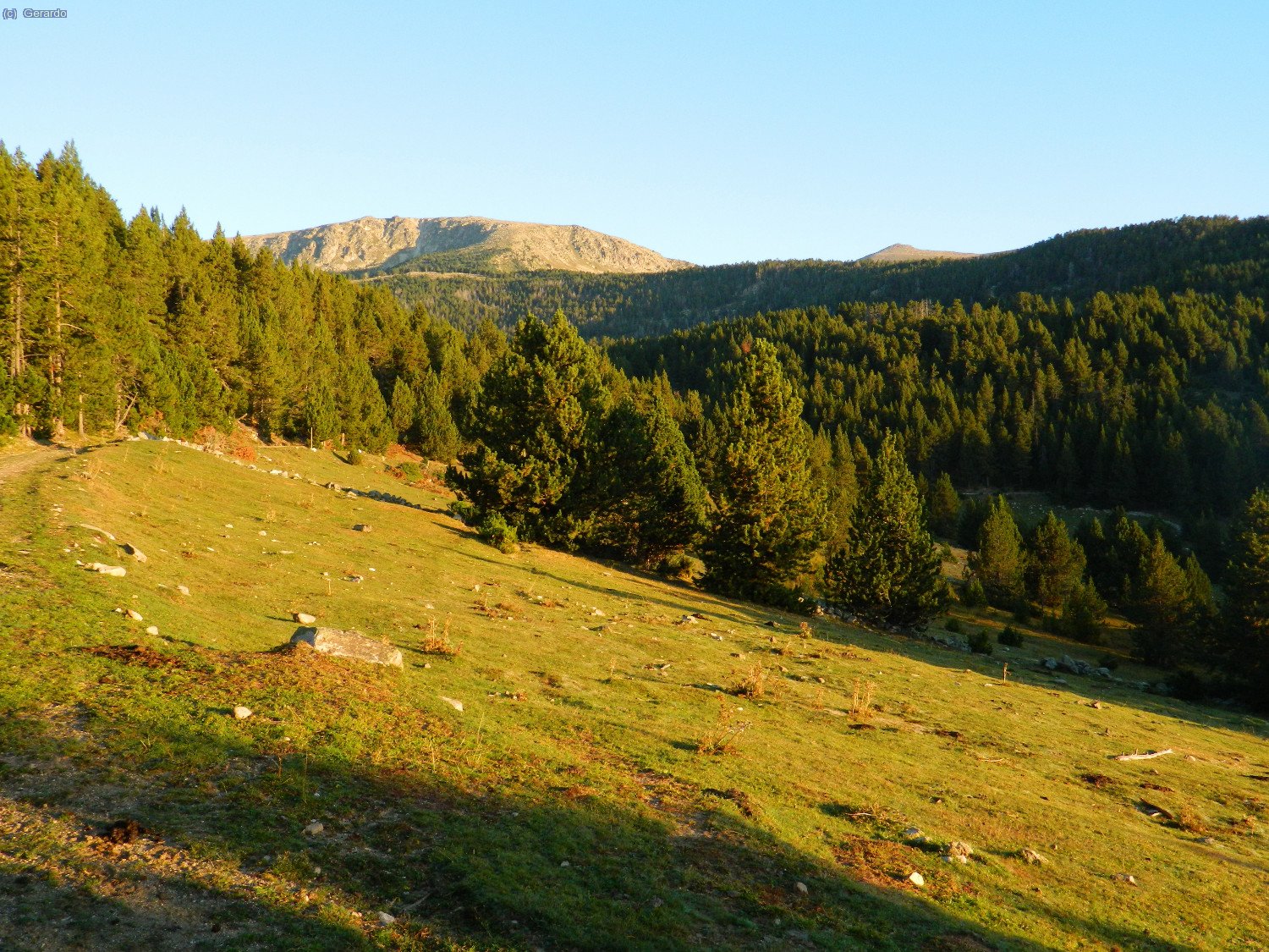 Al fons, molt lluny encara, la Tossa Plana a l