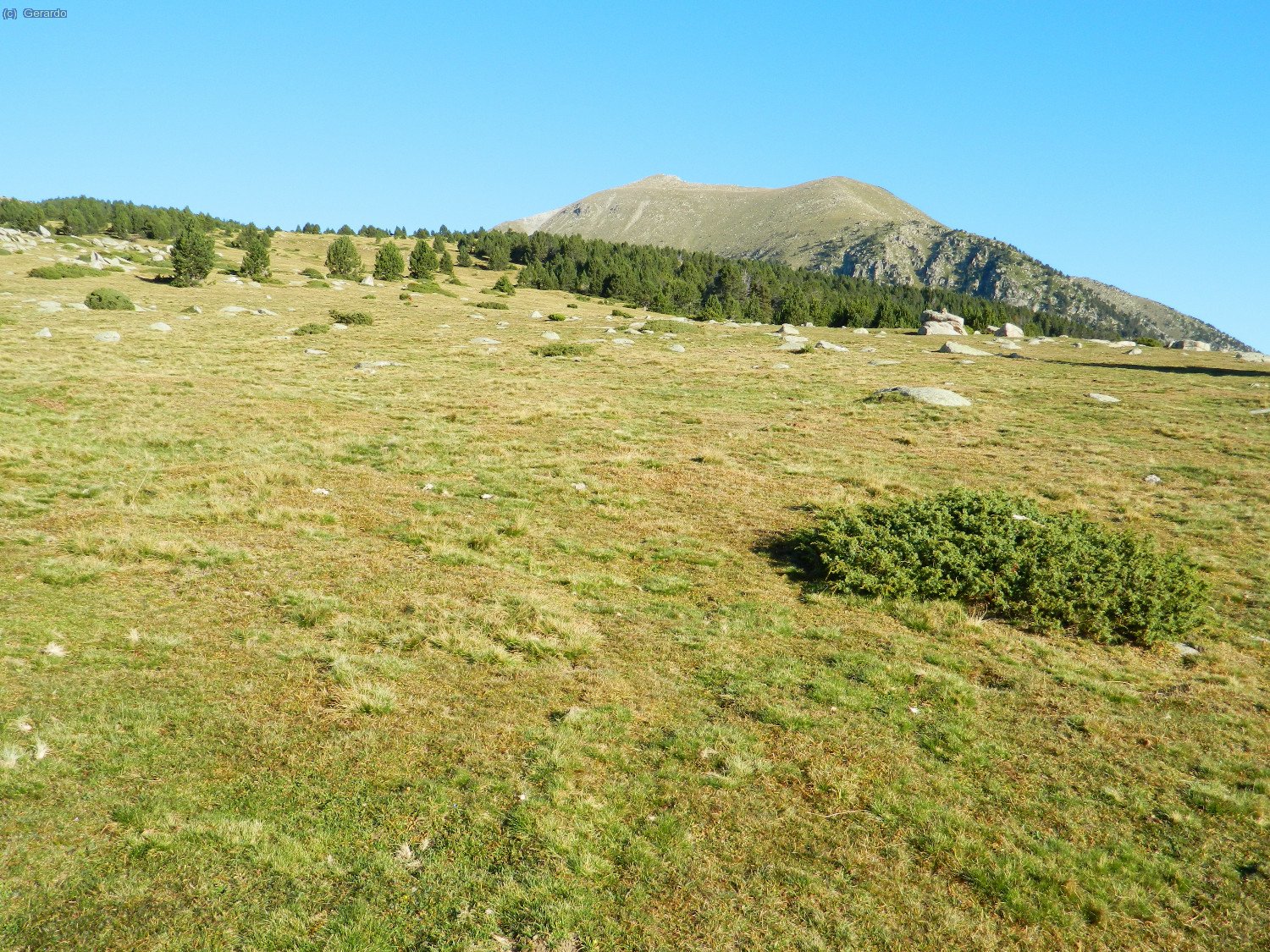 Desfilada llarga de prats, boscos, prats.... fins a uns 8,5 km. totals tant sols per fer cim, que es veu al fons... I 8,5 km. a banda per tornar, clar...