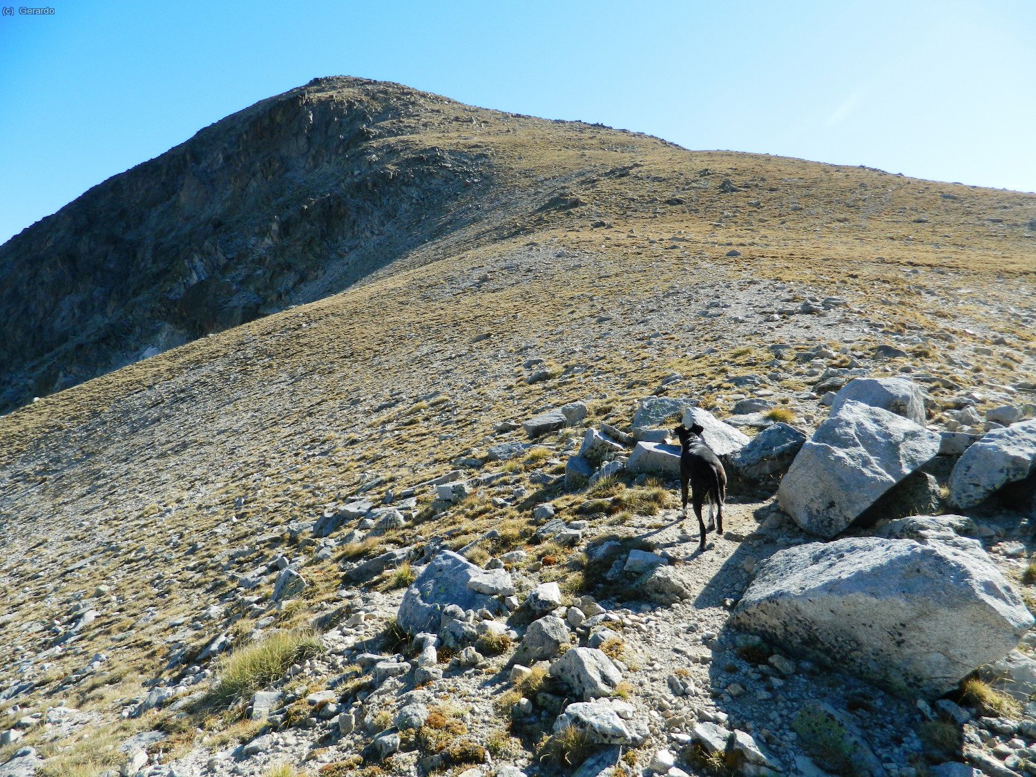 El llom somital des del coll.