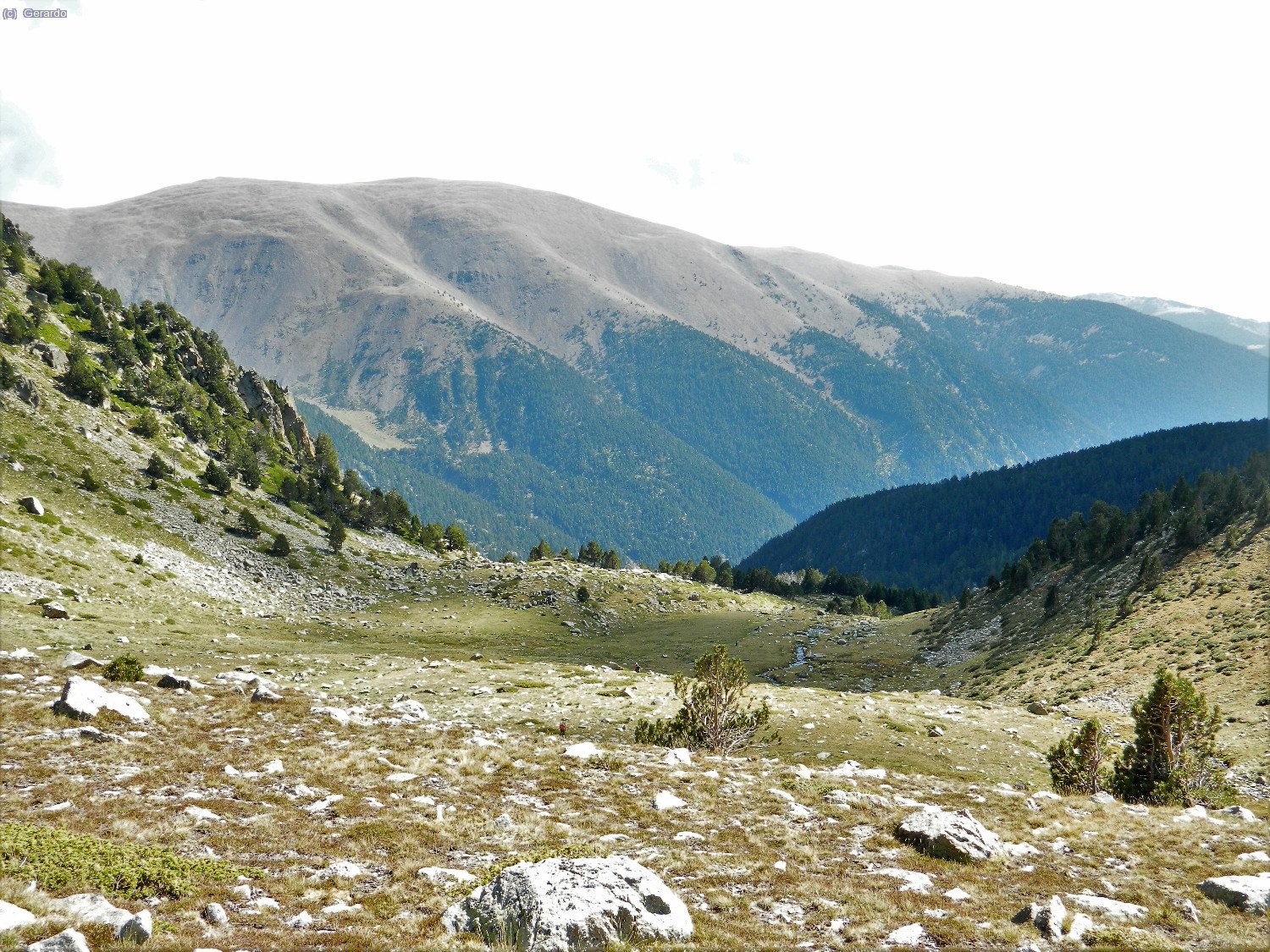 I pel mateix lloc, vist cap avalll...