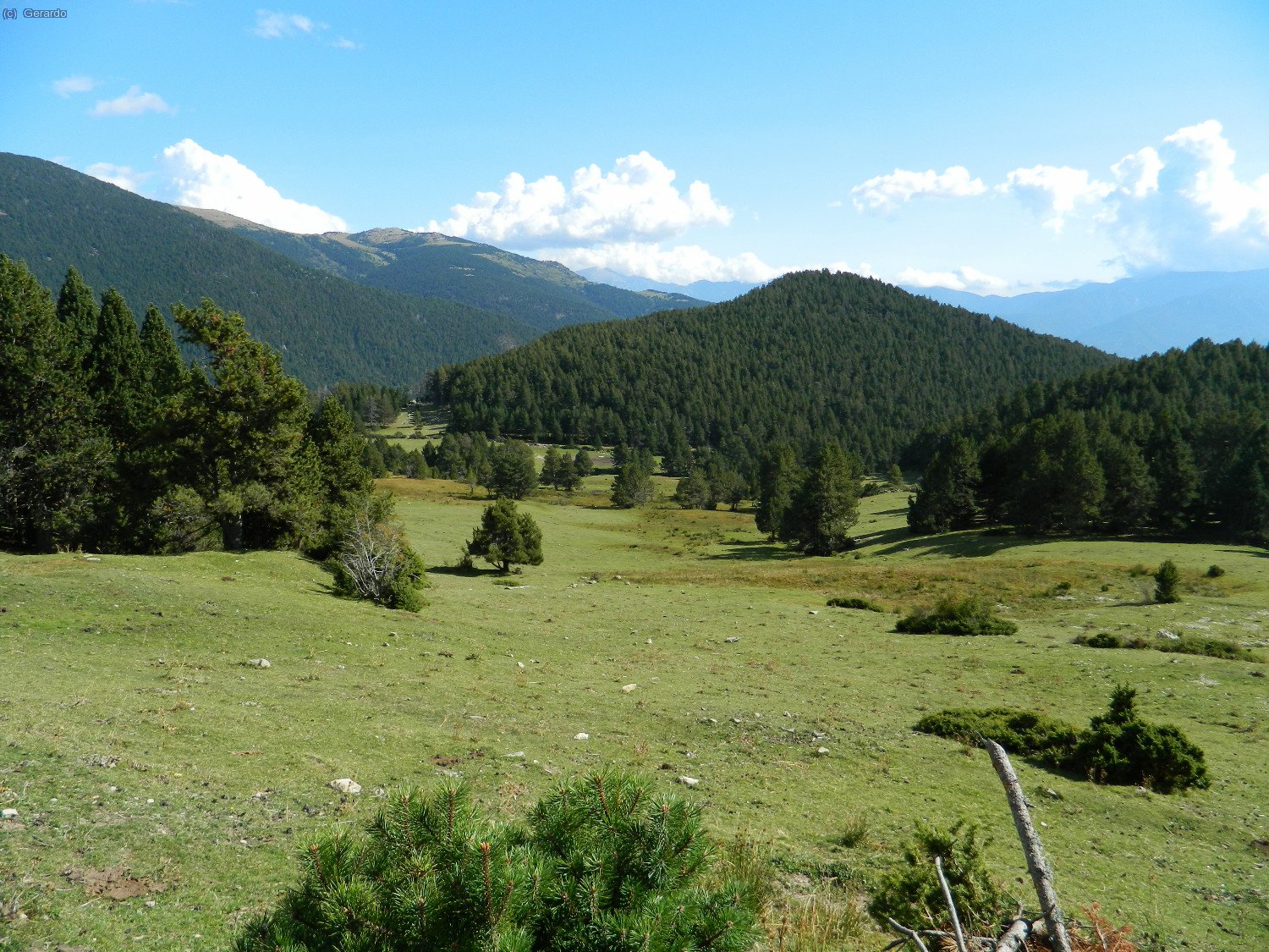 Un jardi de muntanya...
