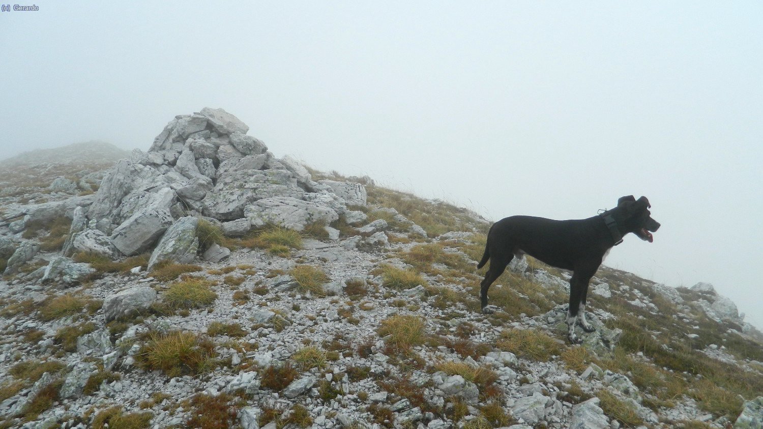 Septiembre. Coma Ermada y Pic de la Llosa, con Otto.