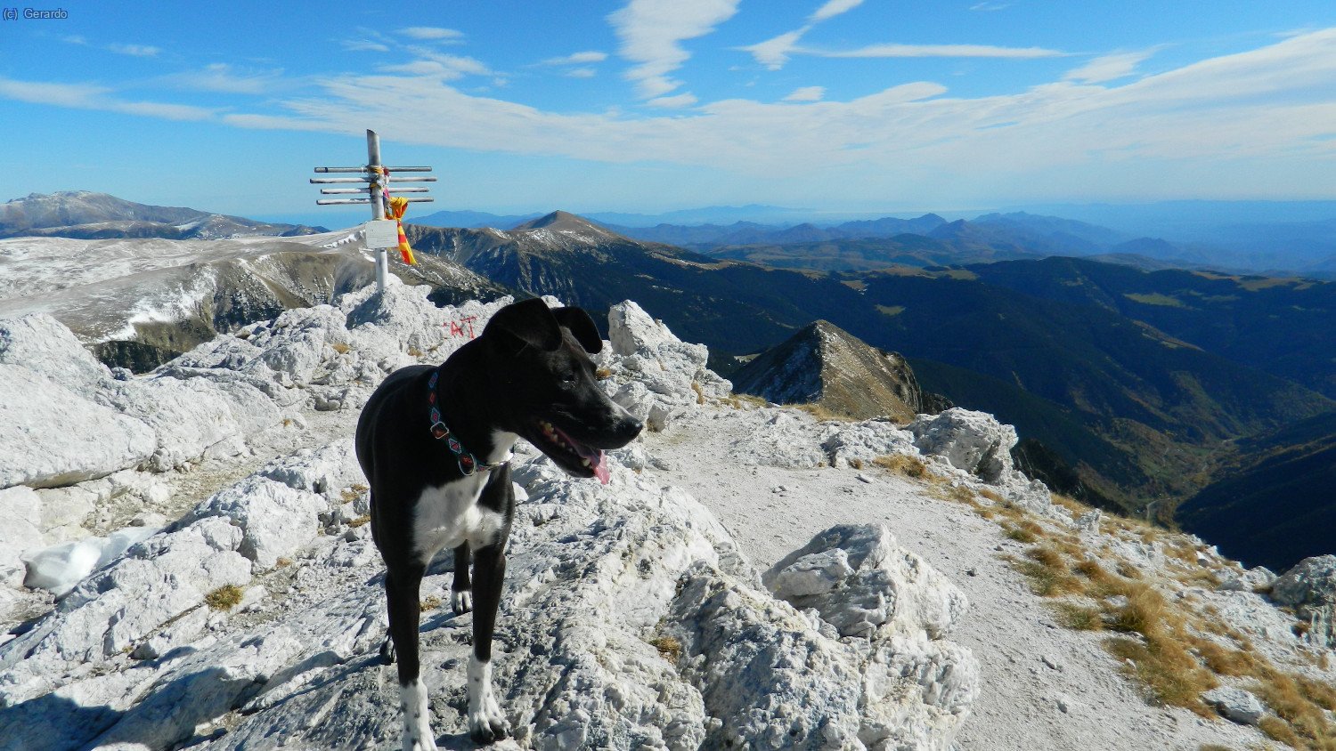 Noviembre. Gra de Fajol Gran, con Otto.