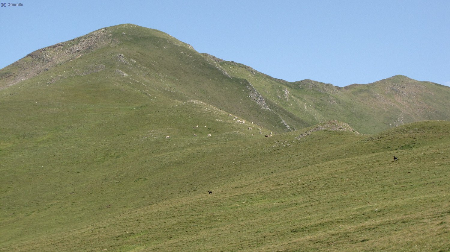 Ya estamos remontando la cadena herbosa hacia el Fontlletera.