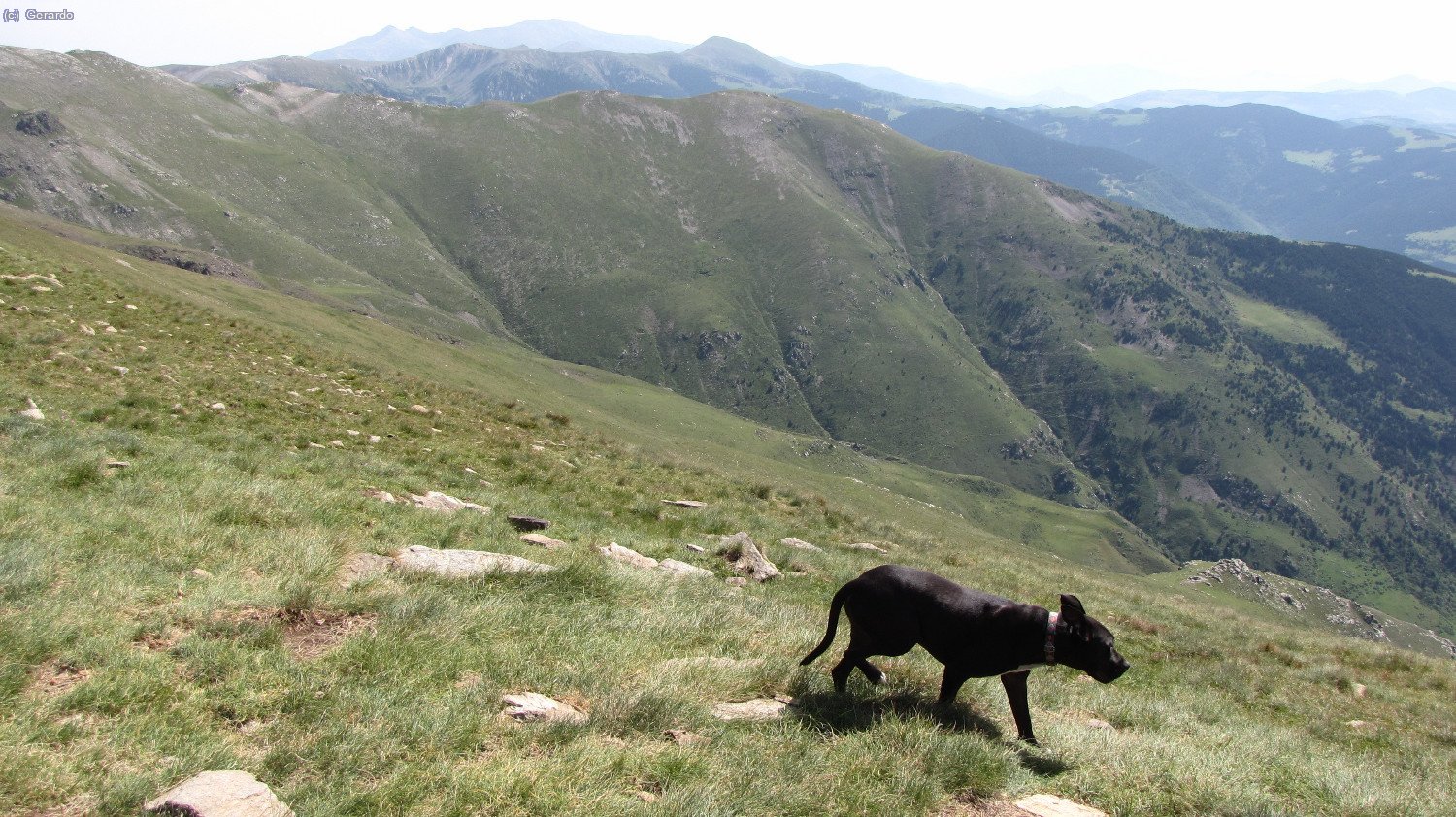 Plom en el Fontlletera.