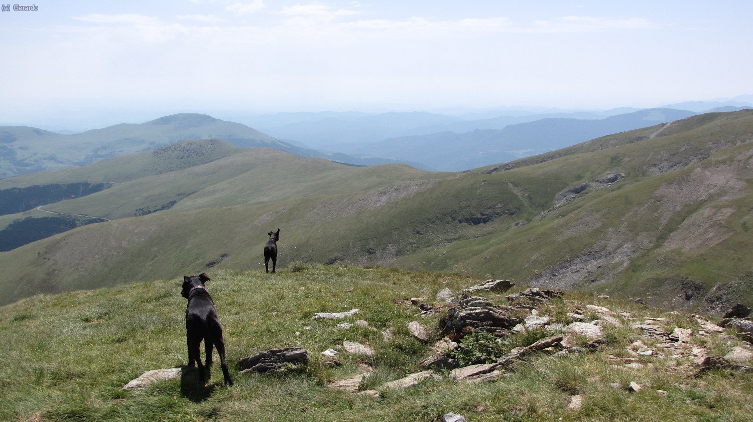 Bueno, Plom se levanta y deambula un poco.