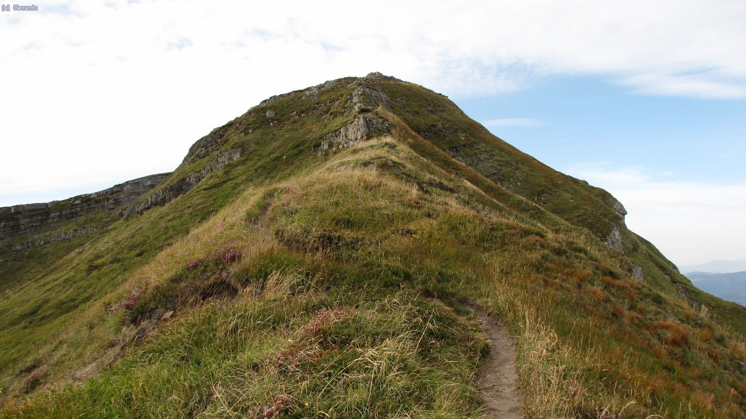 El filo herboso del pico.