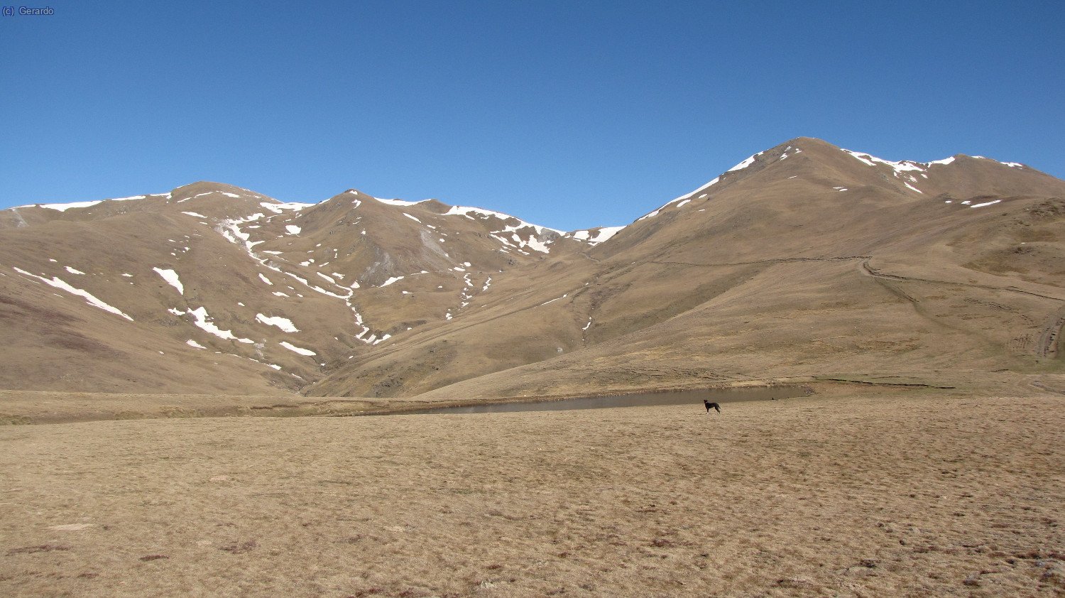 Un paraíso pastoral, cuando el ganado suba dentro de poco... A la izquierda el Balandrau, en medio el Coll dels Tres Pics, y a la derecha el Fontlletera.