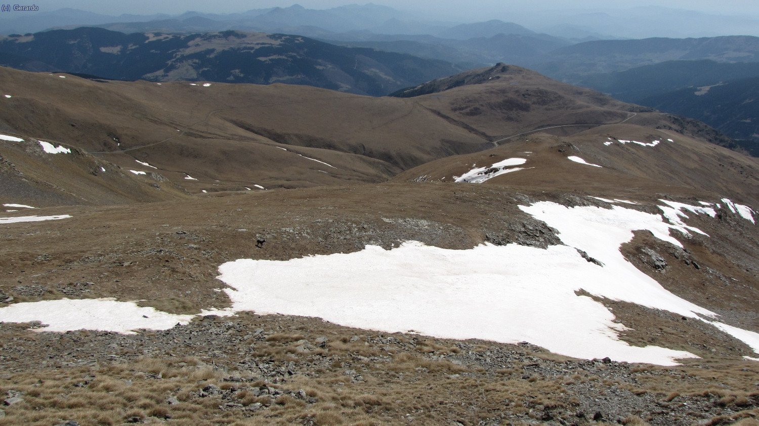 ...para enseguida girar hacia este y coger el lomo oriental de la montaña.