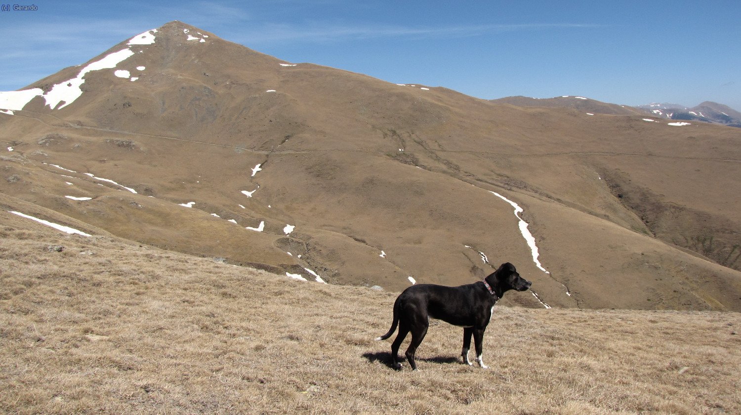 Mirando desde el lomo hacia el norte, domina el Fontlletera. A medio flanco se ve perfectamente el trazado del camino por el que hemos subido.