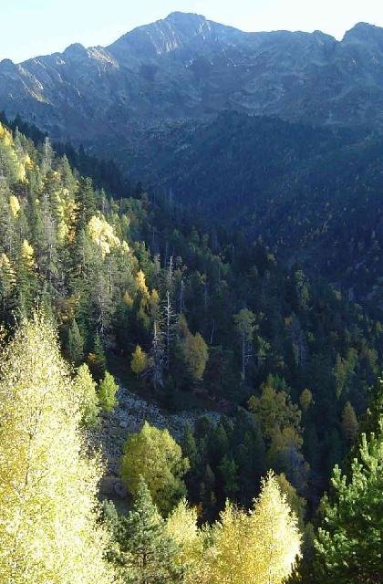 El oto&ntilde;o en la Vall Ferrera