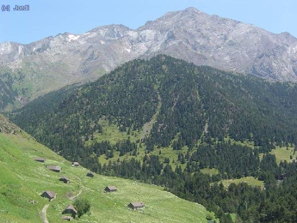 Viados, Espadas y Posets