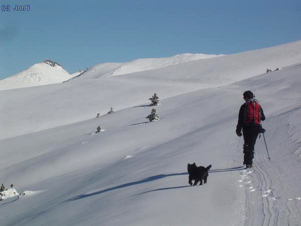 De camino a Pla Guillem