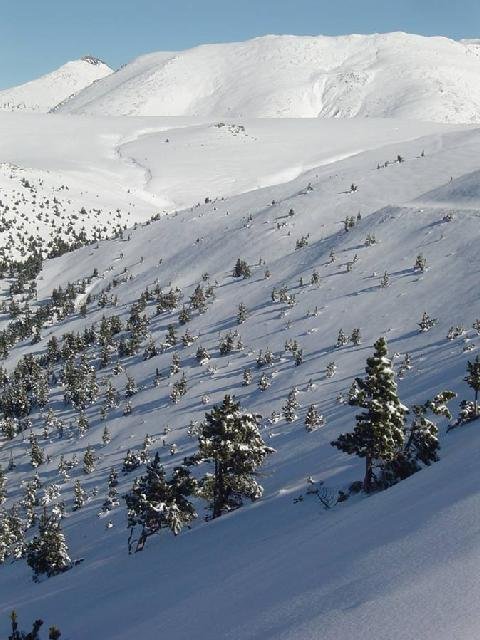 Al fondo, el Gasimir