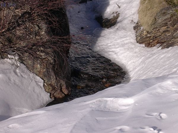 Torrent de Noucreus