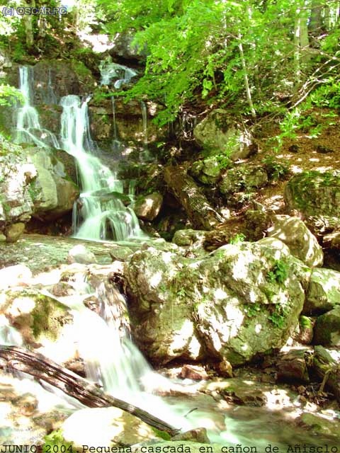 Peque&ntilde;a cascada en el ca&ntilde;on de A&ntilde;isclo.