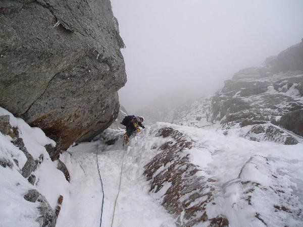 3&ordm; largo