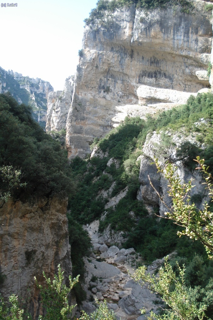 Superando por un camino el Caos