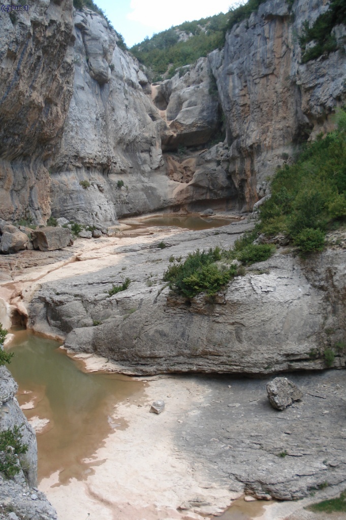 Saltador de Las La&ntilde;as