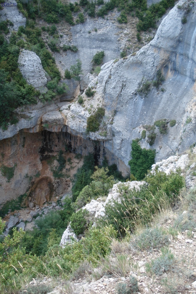 Raisen parte inferior.