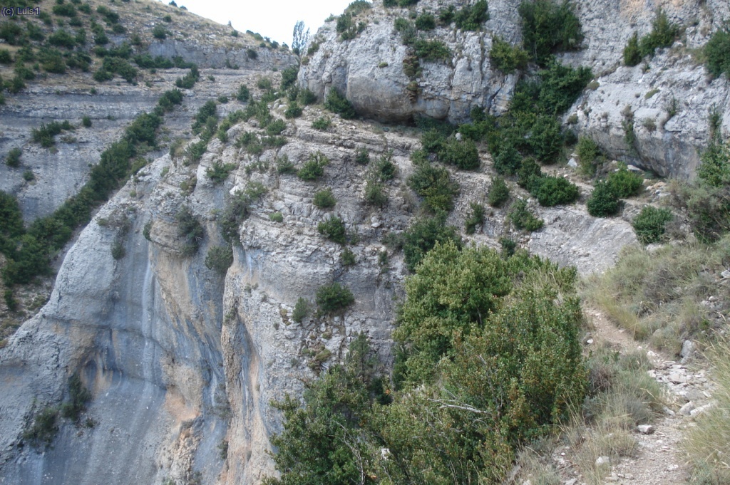 Raisen parte superior y el caminito a&eacute;reo por la faja.(se distingue la copa de los chopos del inicio del Raisen)