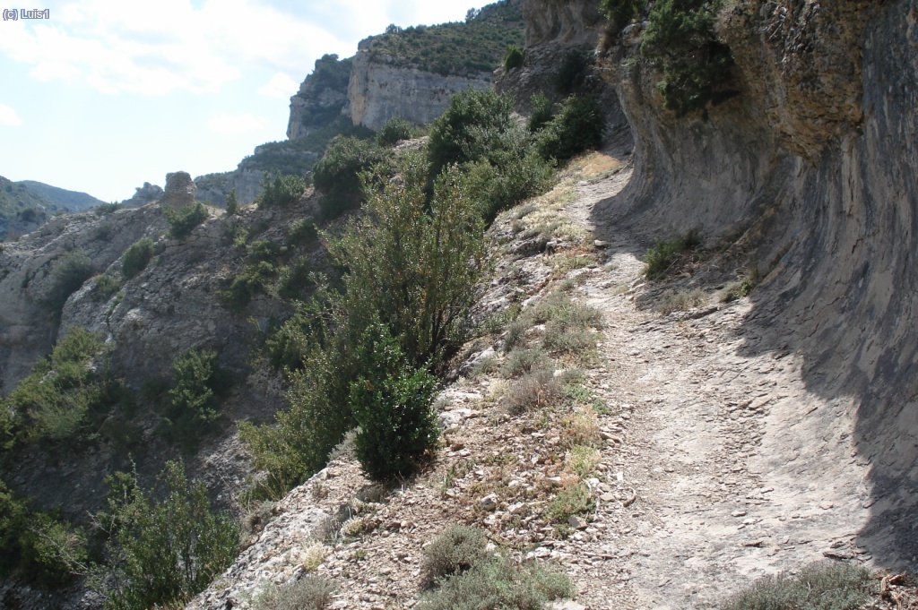 De vuelta (por la faja a la altura del Masc&uacute;n es m&aacute;s ancha).