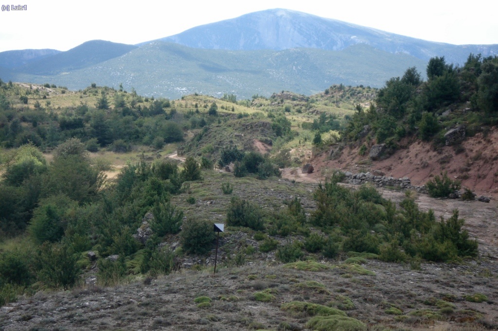 Tozal de Guara (cara norte) y campos de Ot&iacute;n abandonados y empezando a ser colonizados por los &aacute;rboles.