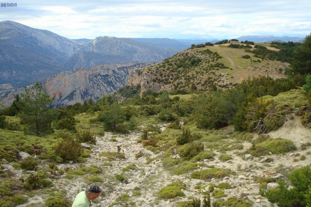Zona de los "Dineretes"